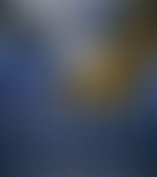 Review: Spin the Dawn by Elizabeth Lim (Book 1)