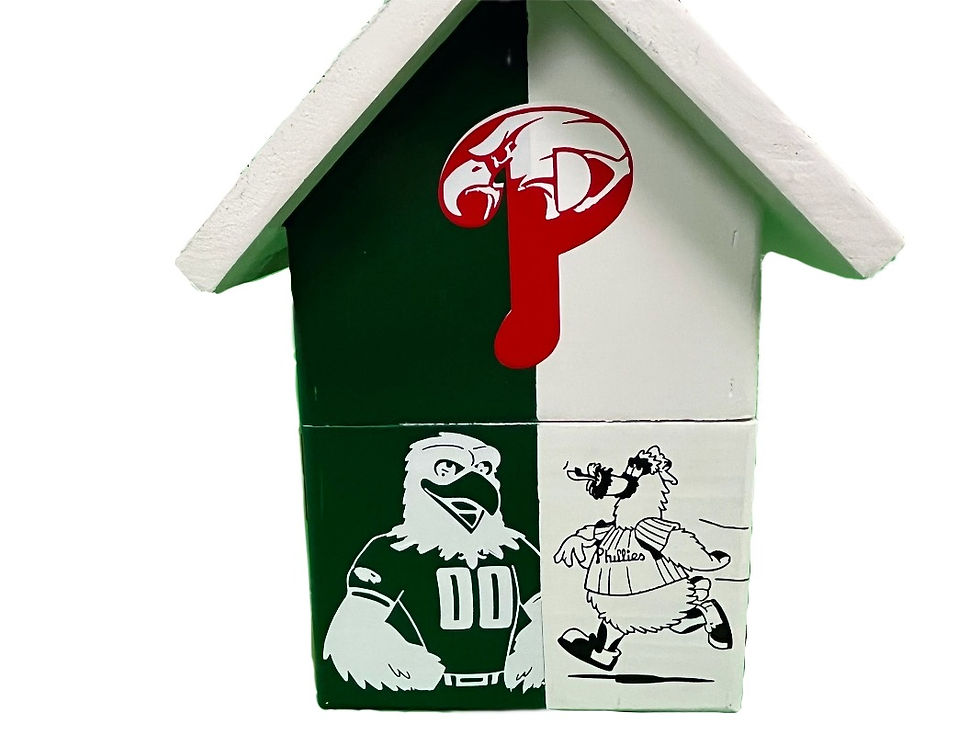Thumbnail: Philadelphia fans are the best fans! This is a handmade birdhouse depicting the Philadelphia Eagles and the Phillies.