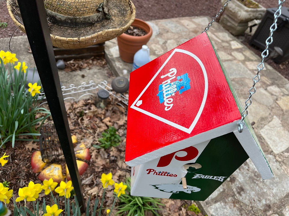 Thumbnail: Philadelphia fans are the best fans! This is a handmade birdhouse depicting the Philadelphia Eagles and the Phillies.