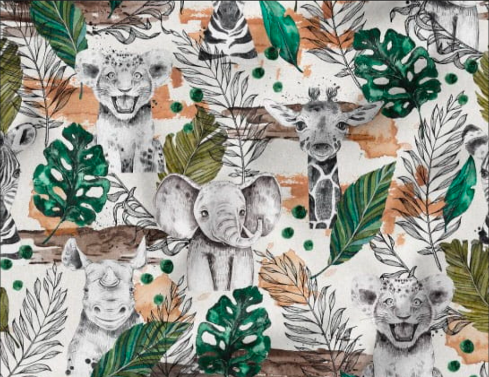 safari
