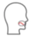 Diagram of shape of tongue