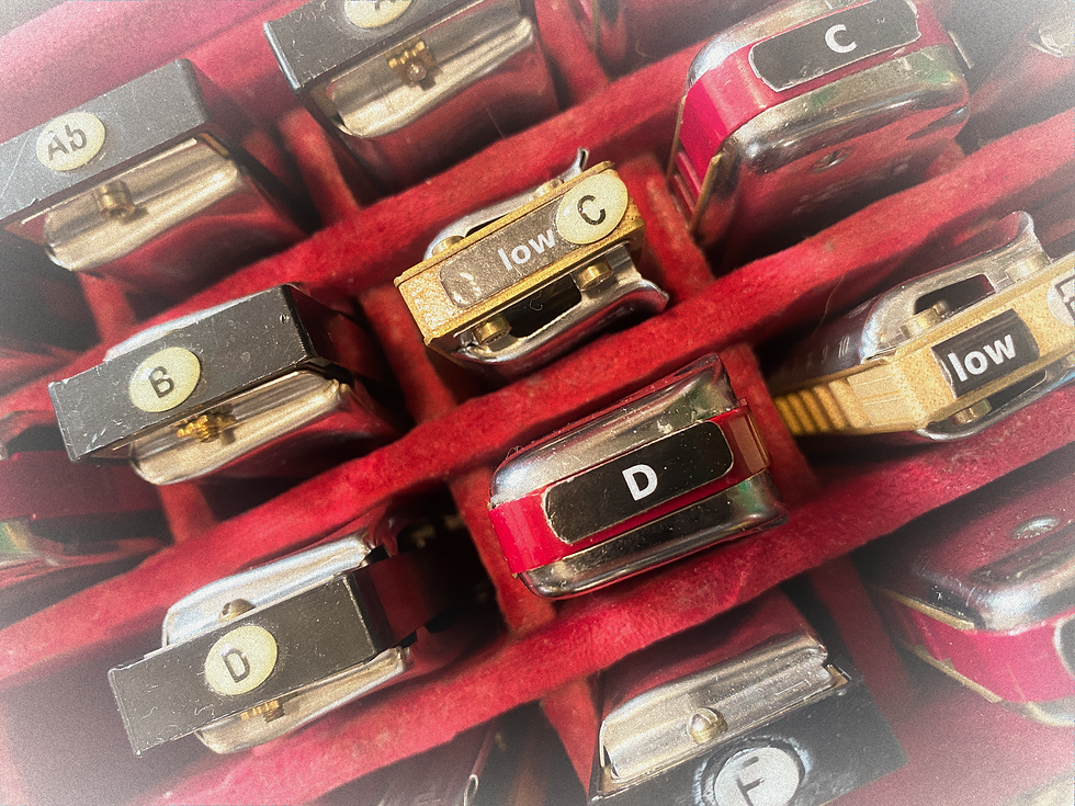 Harmonicas labeled Ab, B, C, D, low C, and low F in a red case. The shiny metal and red accents create a vibrant, organized arrangement.