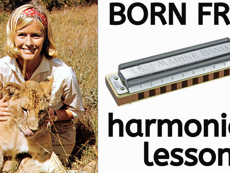 Lady with blonde hair stroking lion cub. Picture of diaotnic harmonica and title 'Born Free harmonica lesson'