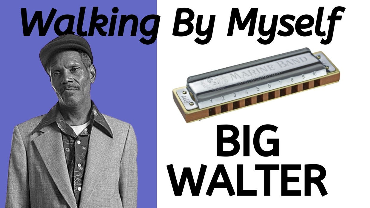 Walking By Myself (Big Walter Horton)