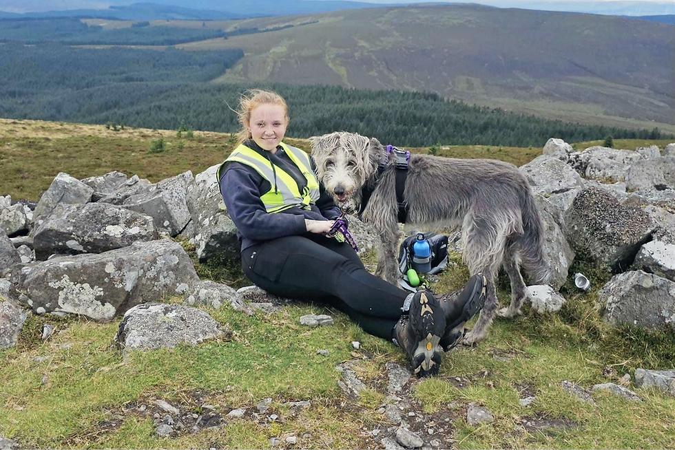 Photo: Islay Dog Rescue