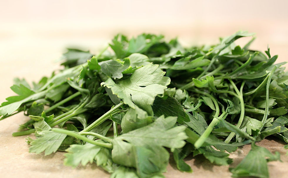 tortic84-parsley-2475526_1920 (1).jpg