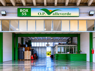 Avvio gestione BOX 55 al Mercato Ortofrutticolo di Vittoria