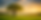Presencewithhewan-homepage-2.png