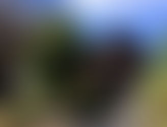 ママも英語高幡不動尊ボランティアガイド練習