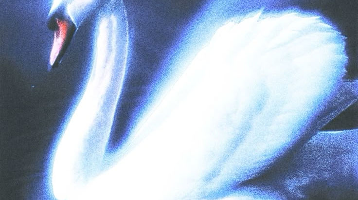 New Moon and Annular Solar Eclipse in Cygnus