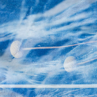 Art Postcard of cyanotypes and grasses