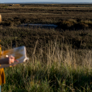 The artist, Claire Hankey, drawing on location