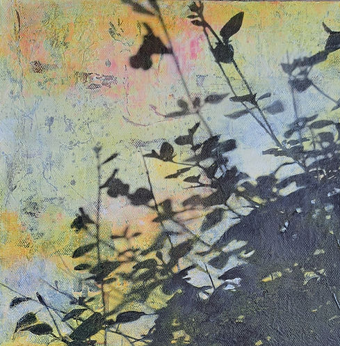 photo collage for class