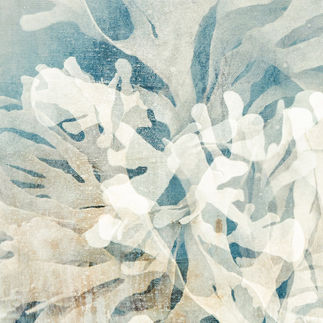 Art Postcard of cyanotypes and grasses