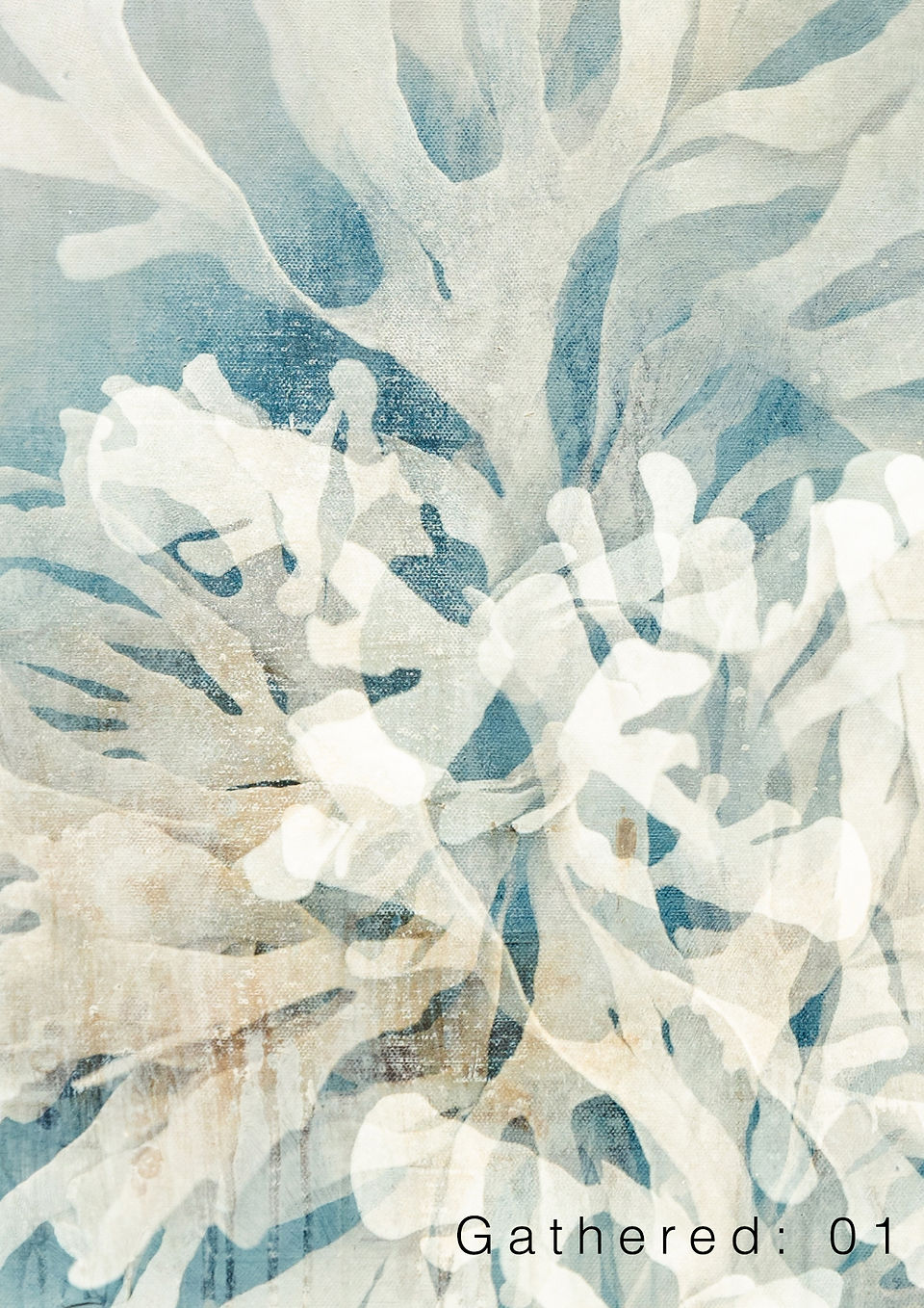 Art Postcard of cyanotypes and grasses