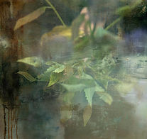 Botanical Prints Claire Hankey