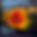 CarmeloBlandino-oil-flower-orange.jpg