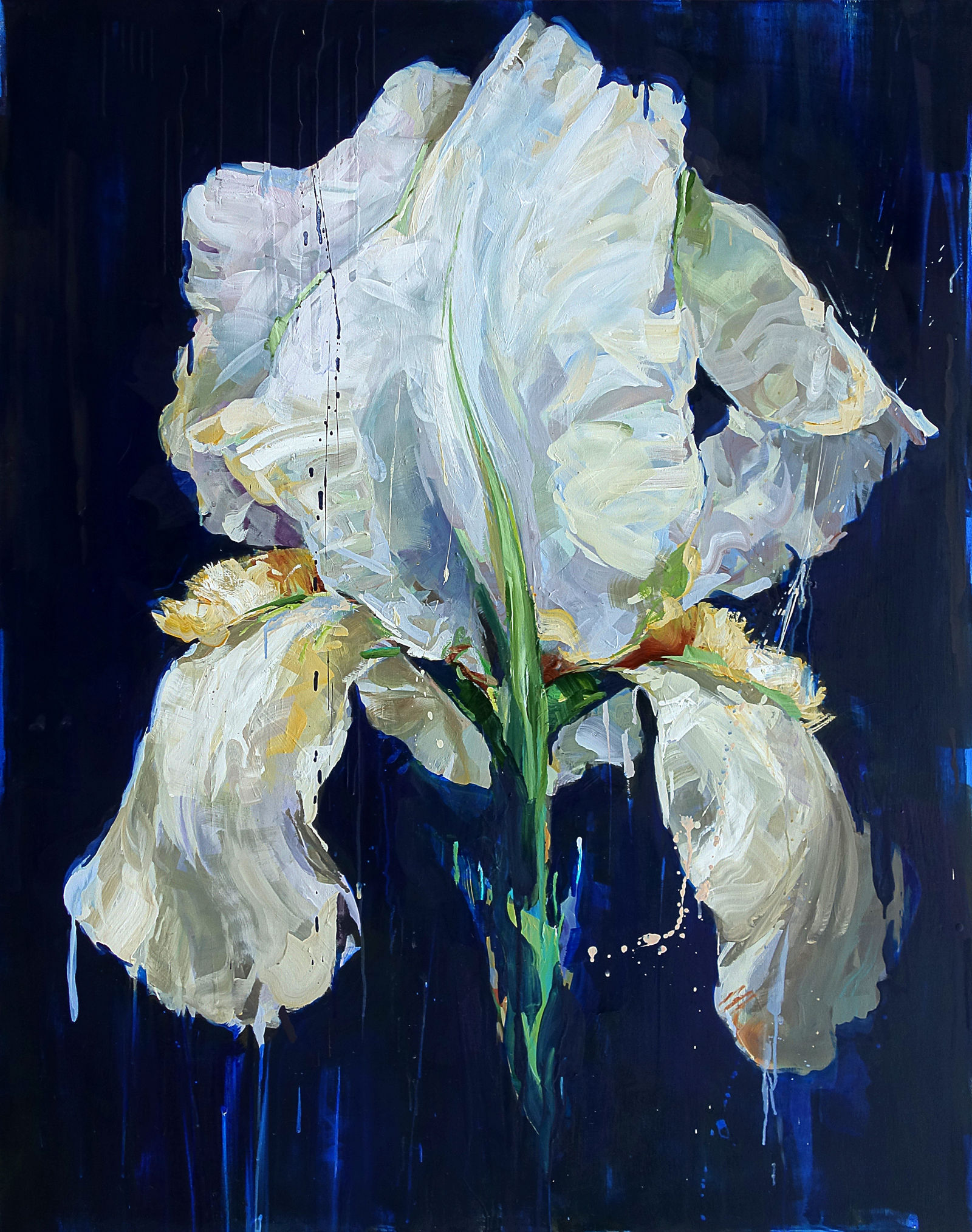 Tuesday Zoom Classes ongoing