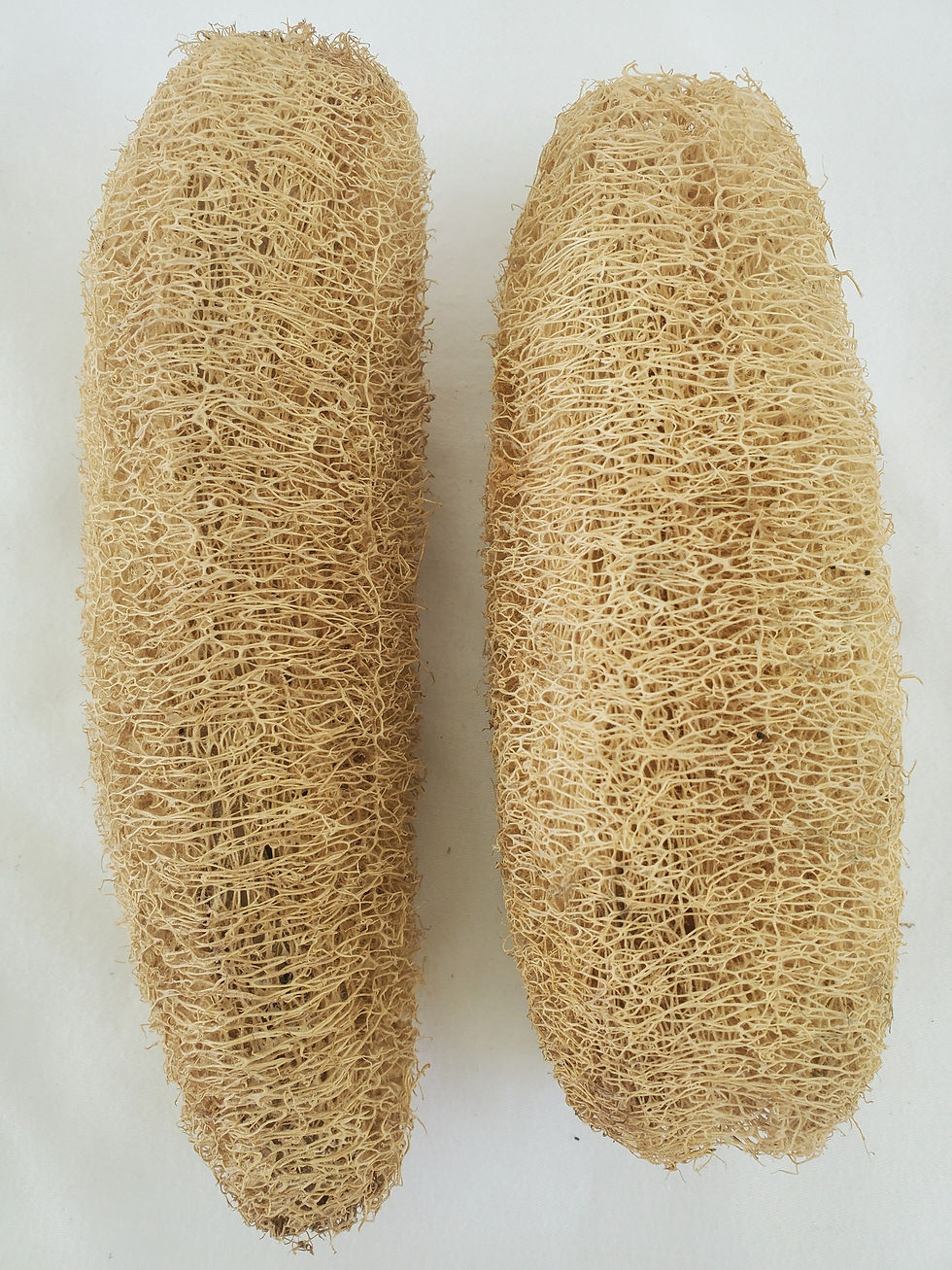 Miniature : 2 Natural Loofah