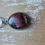 Thumbnail: Rhodonite Necklace 