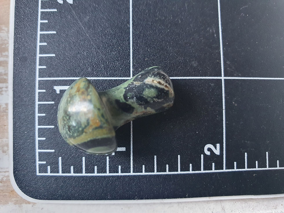 Thumbnail: Kambaba Mushroom 