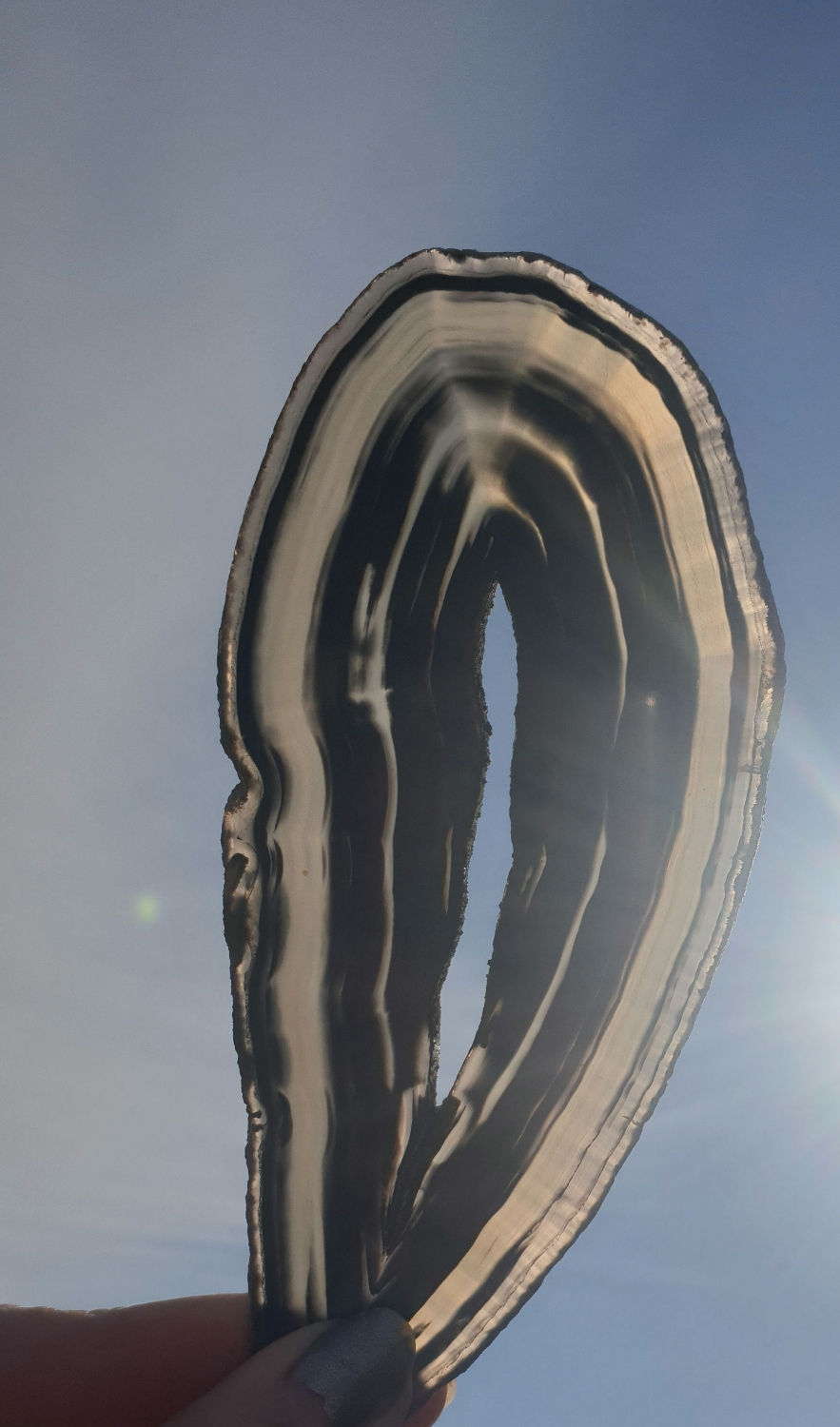 Thumbnail: Black agate slice