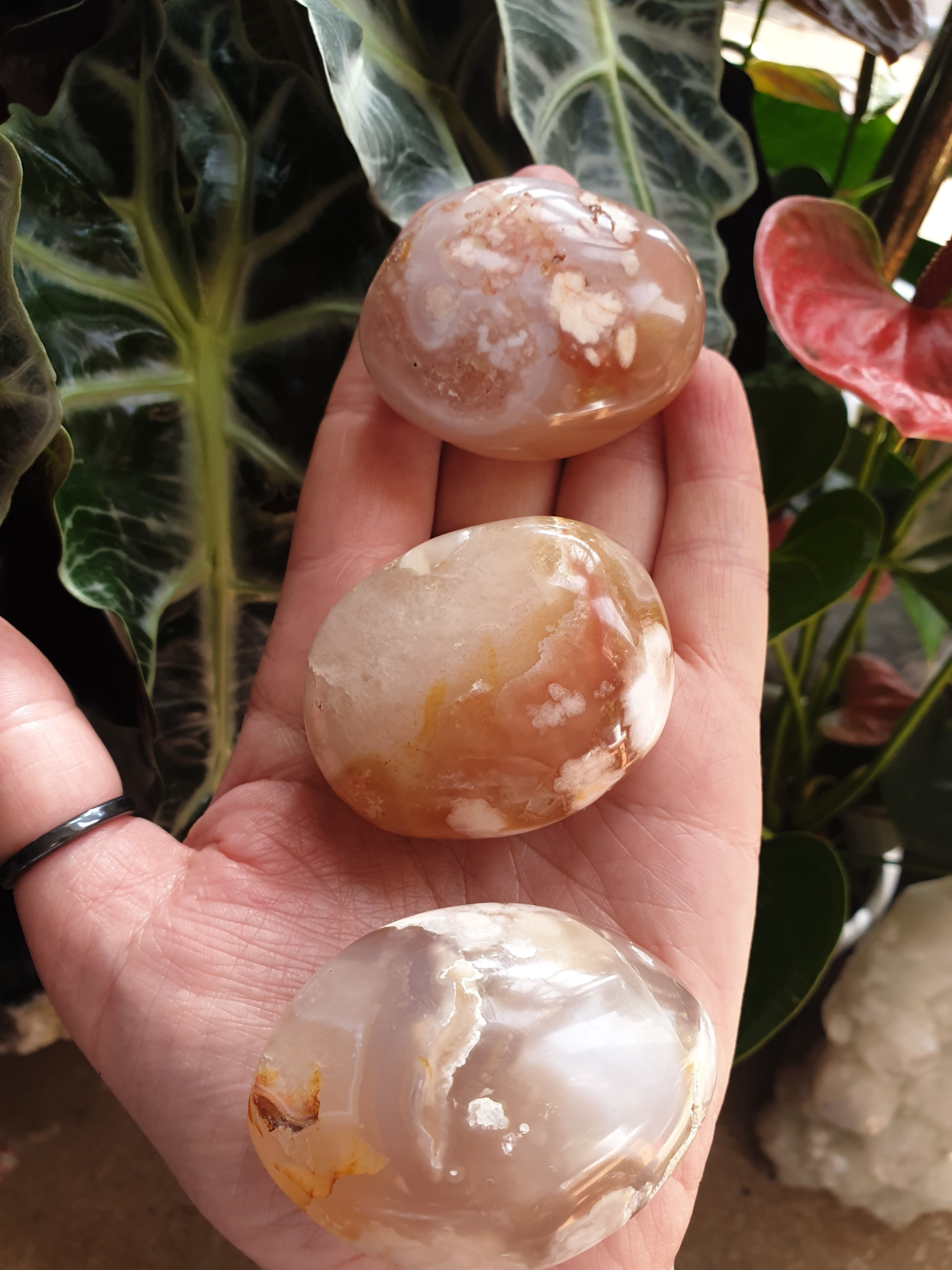 Flower Agate Palmstone 