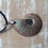 Thumbnail: Ammonite Necklace 