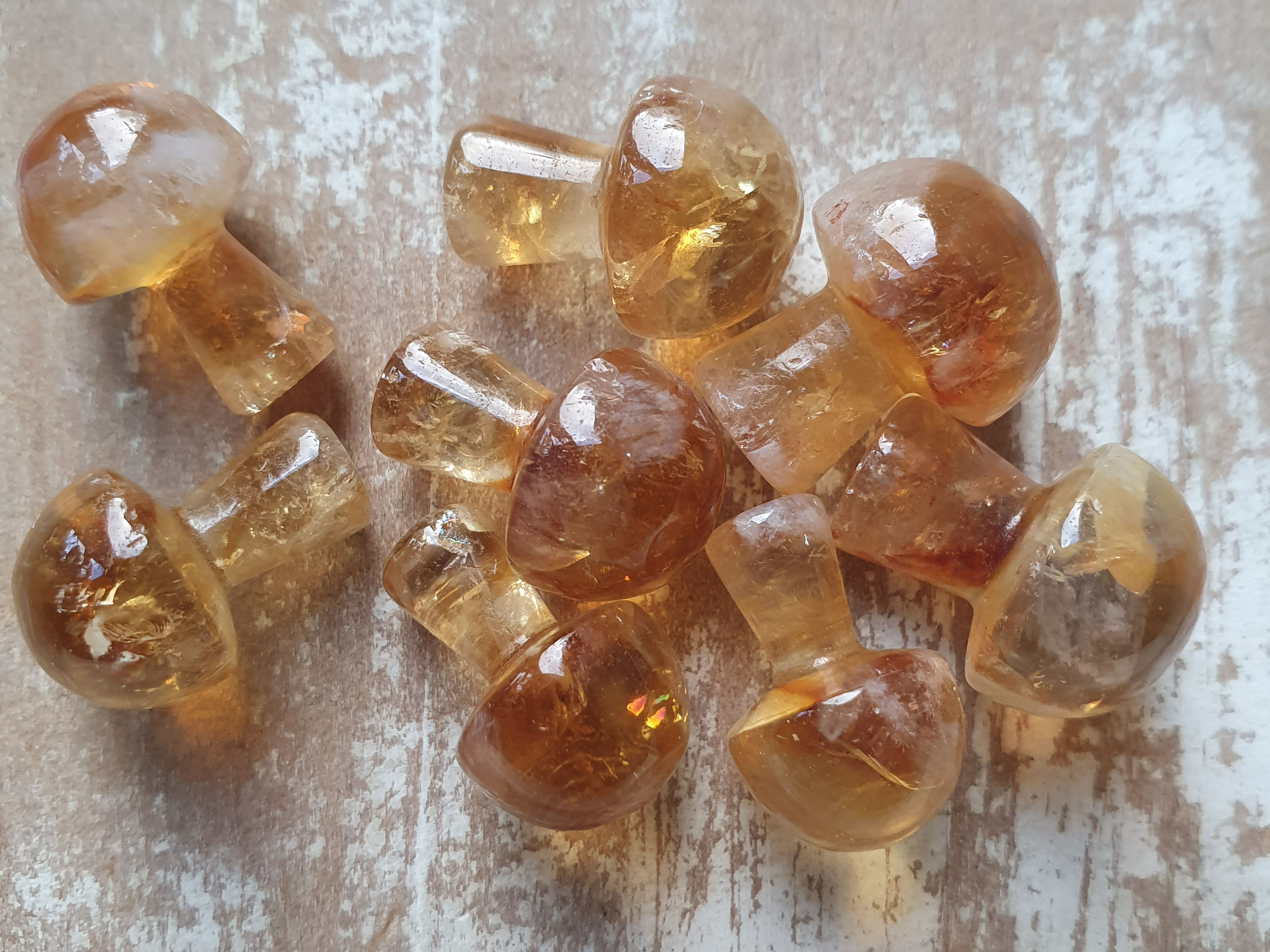 Citrine mushroom ( high grade quality)