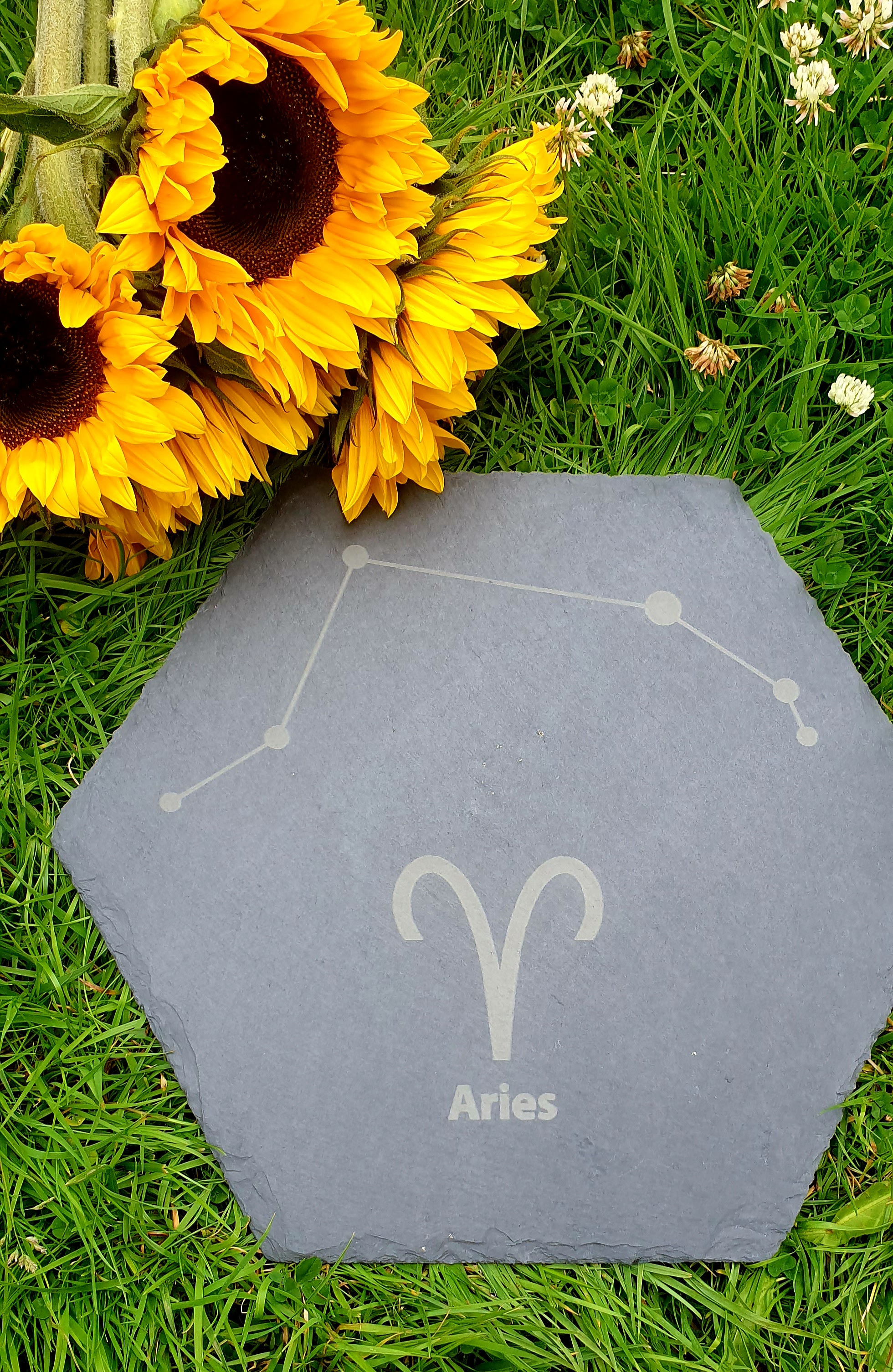 Aries constellation