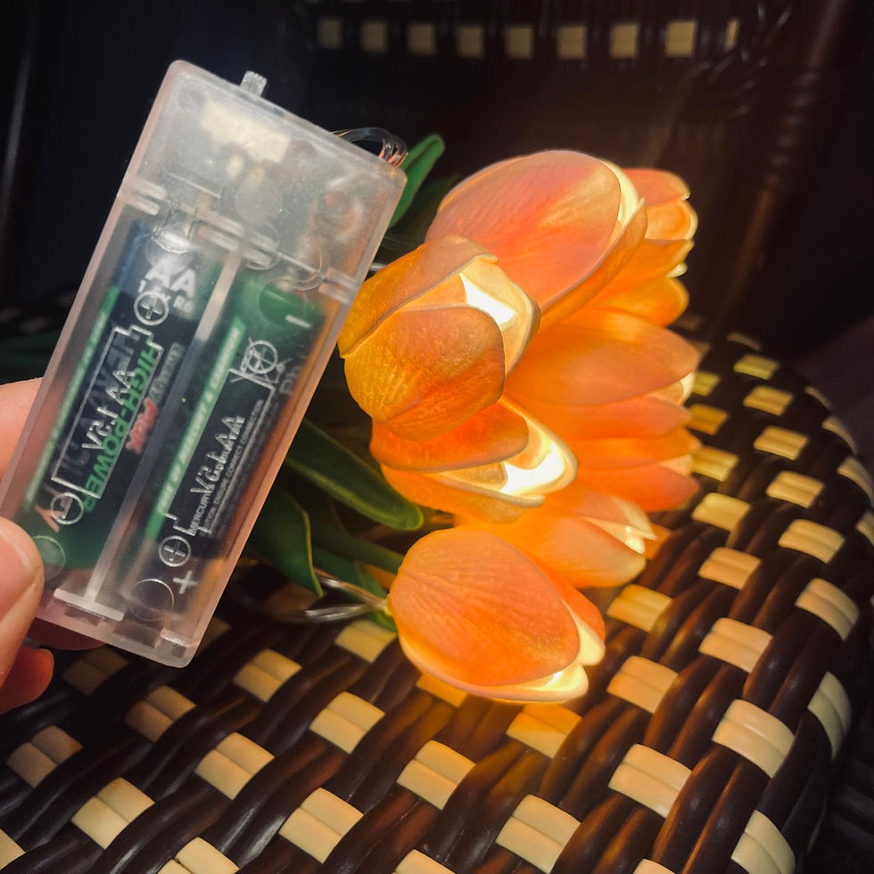 Thumbnail: LED Rose String Lights