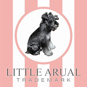 Logo de Little Arual