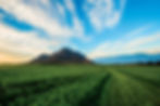 nutrilite farm.jpeg