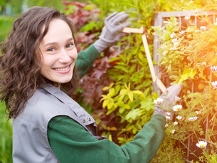 How to Research Local Landscape Companies in Waxhaw, NC | Carolina Terrain