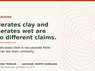 Plants for Wet Spots in NC Piedmont Clay: A Three-Tier Method
