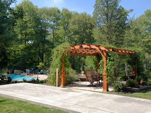 The Art of Shade: Shade Trees & Structures for Outdoor Comfort