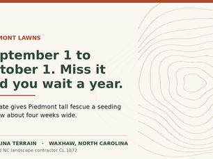 When to Plant Fescue in North Carolina: The Piedmont Seeding Window