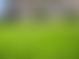 Summer Lawn Care: Keeping Your Yard Healthy and Green | Carolina Terrain