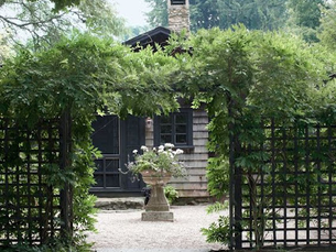Why Living Privacy Screens are a Great Option for Waxhaw Landscaping | Carolina Terrain