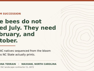 The NC Pollinator Calendar: The Two Months Nothing Fills