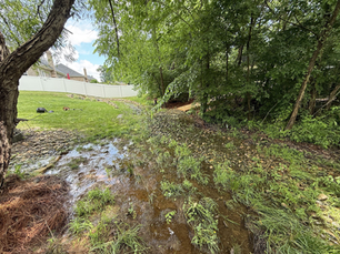 Summer Rain Damage: Lawn Problems in Waxhaw & Beyond