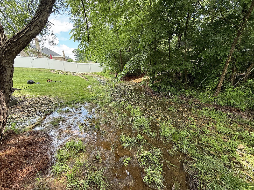 Flooded backyard with standing water and overgrown grass near a forested area, showing stormwater drainage failure at a residential property in Waxhaw, NC.