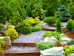 Beat the Heat: 5 Tips for Summer Landscape Care