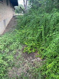 Yard waste and tree branch hauling junk removal service by Titan Valet Services San Antonio