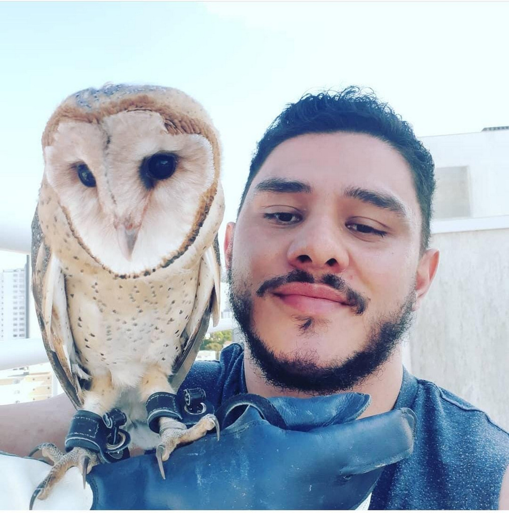 Aumenta o número de animais silvestres em casa
