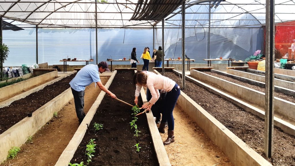 Região de Curitiba ganha versão brasileira do Parque dos Aromas