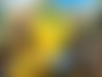 Interesse pela Seleção na Copa 2026 divide torcedores e desafia audiência da TV