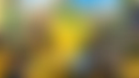 Interesse pela Seleção na Copa 2026 divide torcedores e desafia audiência da TV