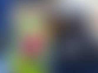 Transporte de pets: saiba como se preparar para viagens internacionais