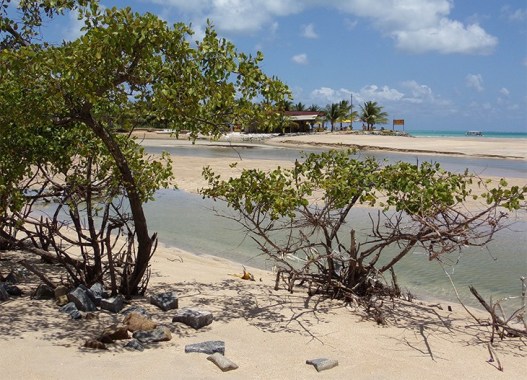 Descubra onde ficar em Maragogi